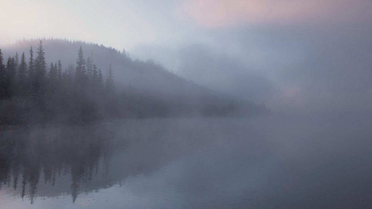 Dichter Morgennebel über einem See, das andere Ufer nur zu ahnen