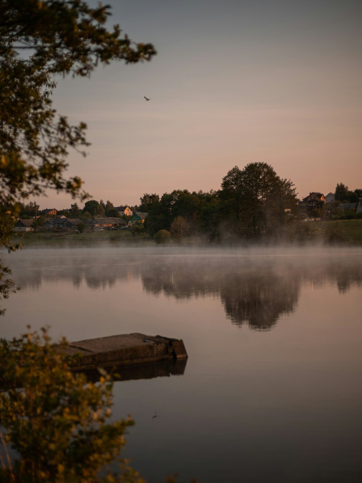 Morgennebel über einem stillen See, am Ufer ein kleiner Steg